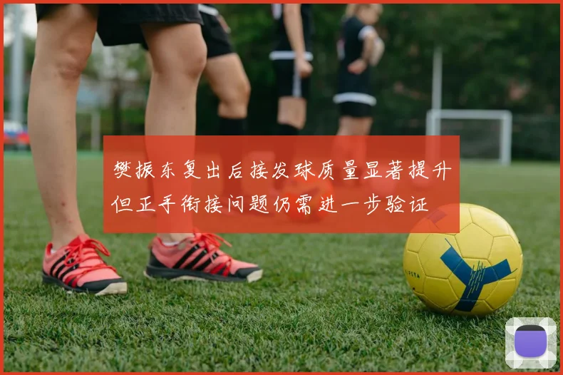 樊振东复出后接发球质量显著提升但正手衔接问题仍需进一步验证