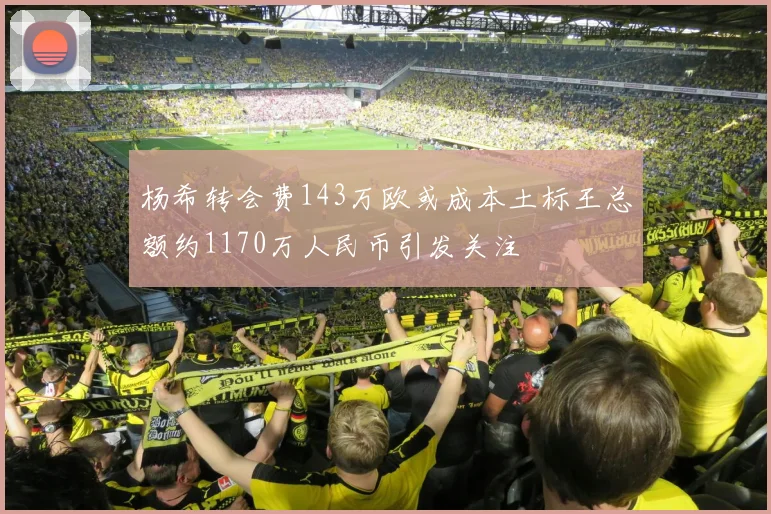 杨希转会费143万欧或成本土标王总额约1170万人民币引发关注