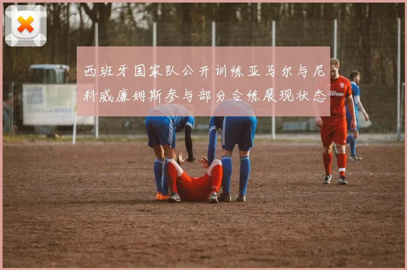 西班牙国家队公开训练亚马尔与尼科威廉姆斯参与部分合练展现状态