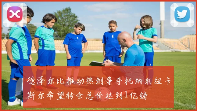 德泽尔比推动热刺争夺托纳利纽卡斯尔希望转会总价达到1亿镑